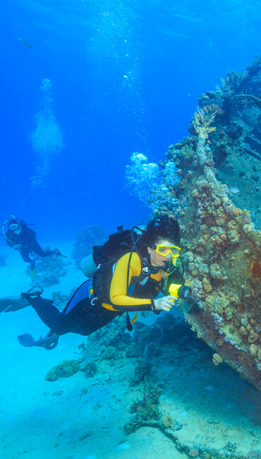 Gallipoli Historical Underwater Park Scuba Diving