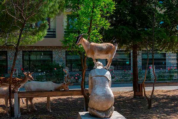İRİS Hotel ve SPA Çanakkale hayvanat bahçesi hotel otel çanakkale geyik